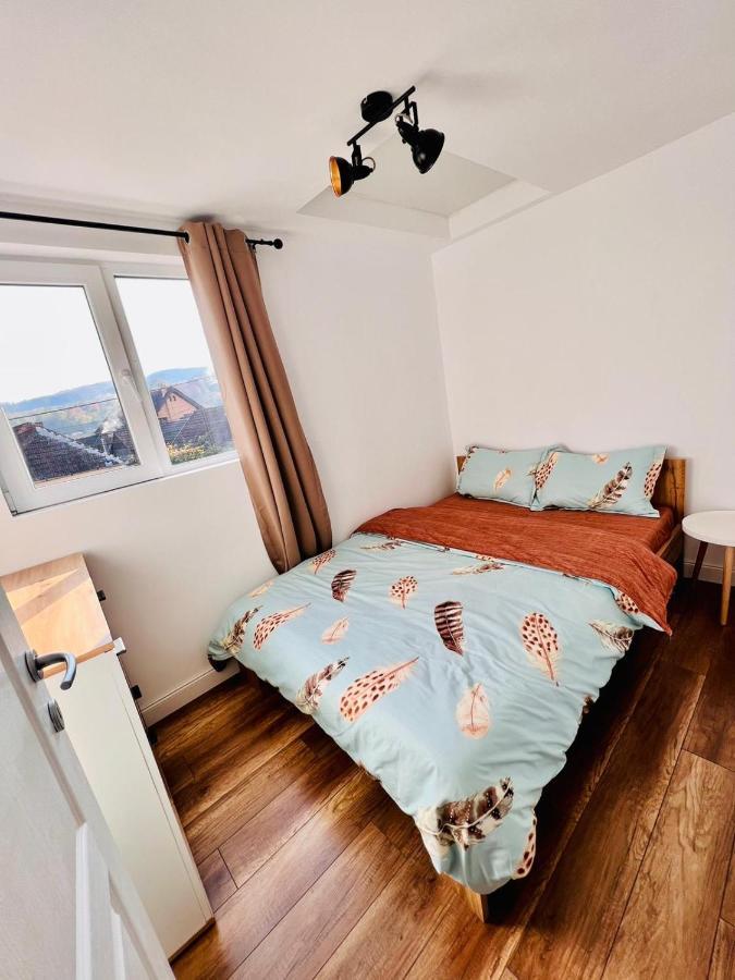 Master Adventure Guest House Vadu Crisului Extérieur photo